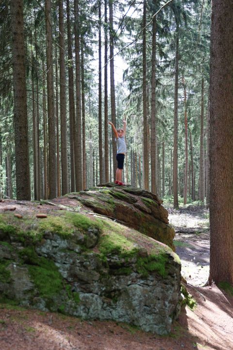 240711GreifensteineGeyer21