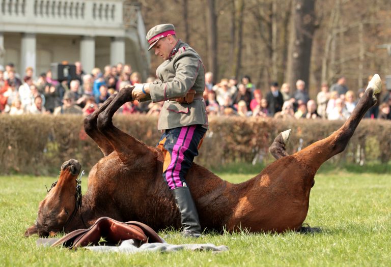 21.04.13 , Gotha Boxberg, Historische Galopprennbahn, Internationale Deutsche Meisterschaften der Kavallerie , Reitprüfungen (Dressur, Jagdspringen, Geländeritt, Patrouillenritt, Jagdrennen und Reitprüfungen mit Säbel und Lanze) Teilnehmer sind 4 deutsche Mannschaften in originalen Ausrüstungen aus unterschiedlichen Epochen vom Dreißigjährigen Krieg bis 1900, Polnische Ulanen aus Zamosc, Schweizer Kavallerieschwadron 1972im Bild: Show / Vorführung Polnischer Ulanen Foto:Karina Hessland