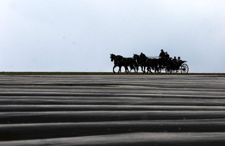 19.04.17 , Kutzleben, Pferdekutsche fährt an einem Spargelfeld entlang, es schneit Foto: Karina Hessland-Wissel