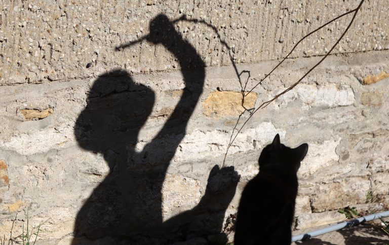 28.06.2022, Ostramondra, Schatten eines Kindes, welches mit einer Katze spielt Foto: Karina Hessland-Wissel