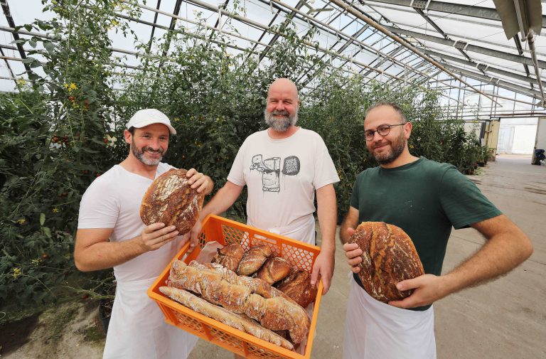 14.09.2022, Erfurt Mittelhausen, Brotmanufaktur Au Backe im Brunnenkressehof Palinske 
Christian Weiss (48), Dirk Zelder (45) und Karam Albarazi (32) eroeffnen heute ihre Baeckerei, das Brot wird aus Sauerteig hergestellt, die Backstube befindet sich inmitten der Gaertnerei Palinske und beliefert direkt den Hofladen durch das Gewaechshaus 
im Bild: Christian Weiss, Dirk Zelder und Karam Albarazi zeigen ihr frisch gebackenes Brot 
Foto: Karina Hessland-Wissel