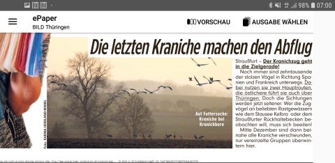 Screenshot_20181120-070014_BILD