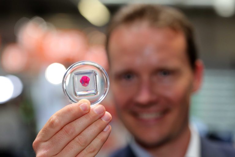25.06.2019 , Erfurt, Messe Erfurt, Rapid.Tech + FabCon 3.D- Messe
Pressekonferenz und Presserundgang 
im Bild: 3D Pioneers Challenge  - hier Christoph Völcker von der Challenge Administration mit Herz gedruckt aus menschlichen Zellen 
Foto: Karina Hessland-Wissel
 *** Local Caption *** Copyright by KH/Karina Hessland Bildjournalismus und Fotografie , Stauffenbergallee 23 , 99085 Erfurt , Tel: 0177-2967631 ; E-Mail: karina.hessland@googlemail.com ; Bankverbindung : Erfurter Bank BLZ : 82064228  Konto: 1107836 , BIC: ERFBDE8E , IBAN: DE55 8206 4228 0001 1078 36 ; SteuerNr.: 151/230/13457  FA Erfurt , Nutzung nur gegen Honorar + 7% Mwst und Urhebernennung! Mit Abdruck werden die AGB von KH Bildjournalismus und Fotografie anerkannt. WICHTIG: Jegliche kommerzielle Nutzung ist Honorar- und Mehrwertsteuerpflichtig! Honorar gemaess MFM. Weitergabe an Dritte nur nach vorheriger Absprache mit dem Urheber! Darstellung im Internet ist grundsaetzlich Honorar- und Mehrwertsteuerpflichtig, auch als 1:1 Kopie in Internet -Ausgaben von Tageszeitungen und Magazinen. Autoren-Nennung auch für Internet -Darstellung gemaess § 13 UrhGes.